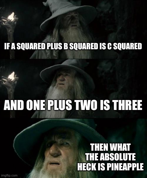 True am I right | IF A SQUARED PLUS B SQUARED IS C SQUARED; AND ONE PLUS TWO IS THREE; THEN WHAT THE ABSOLUTE HECK IS PINEAPPLE | image tagged in memes,confused gandalf | made w/ Imgflip meme maker