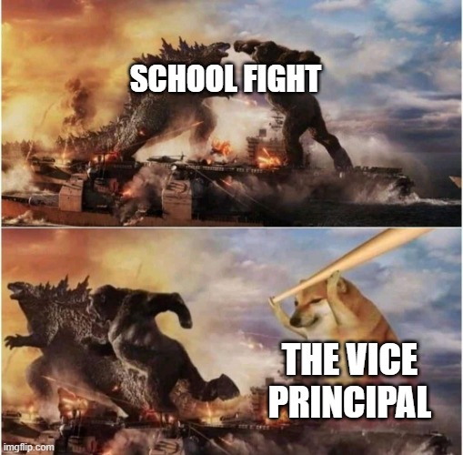 fun | SCHOOL FIGHT; THE VICE PRINCIPAL | image tagged in kong godzilla doge | made w/ Imgflip meme maker