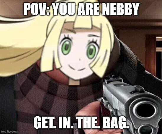 NEBBY GET IN THE BAG |  POV: YOU ARE NEBBY; GET. IN. THE. BAG. | image tagged in pokemon sun and moon | made w/ Imgflip meme maker