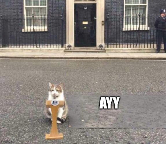 Larry the Cat | AYY | image tagged in larry the cat | made w/ Imgflip meme maker