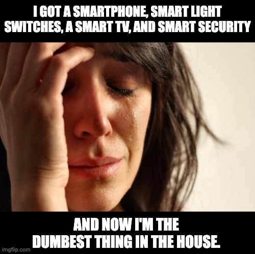 Smart | I GOT A SMARTPHONE, SMART LIGHT SWITCHES, A SMART TV, AND SMART SECURITY; AND NOW I'M THE DUMBEST THING IN THE HOUSE. | image tagged in memes,first world problems | made w/ Imgflip meme maker