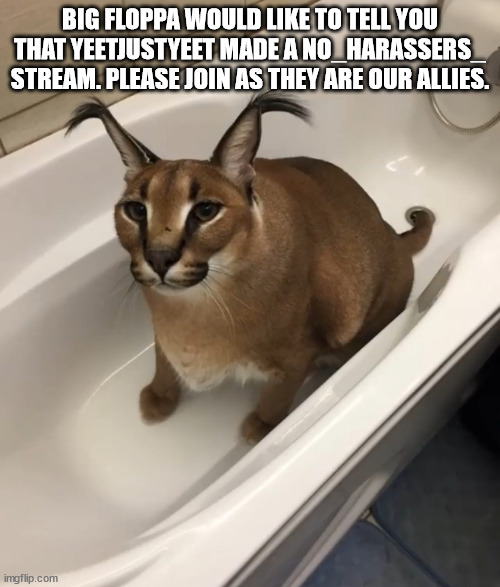 Big FLOPPA in the tub | BIG FLOPPA WOULD LIKE TO TELL YOU THAT YEETJUSTYEET MADE A NO_HARASSERS_ STREAM. PLEASE JOIN AS THEY ARE OUR ALLIES. | image tagged in big floppa in the tub | made w/ Imgflip meme maker