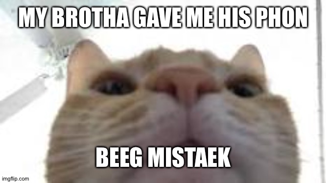 cat staring at camera | MY BROTHA GAVE ME HIS PHON; BEEG MISTAEK | image tagged in cat staring at camera | made w/ Imgflip meme maker