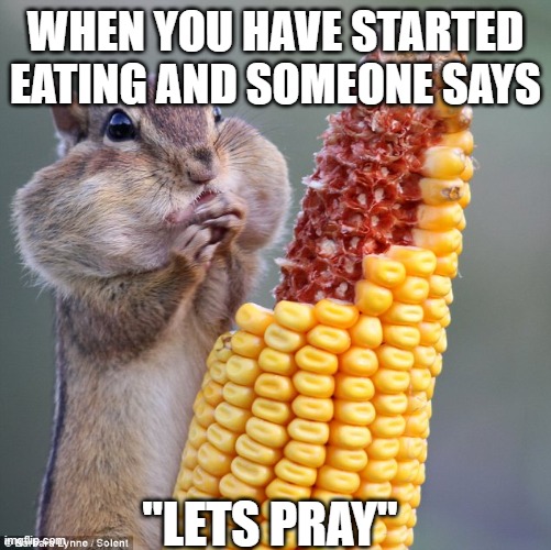 very guilty | WHEN YOU HAVE STARTED EATING AND SOMEONE SAYS; "LETS PRAY" | image tagged in chipmunk full cheeks | made w/ Imgflip meme maker
