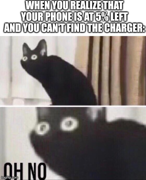 *Inhale* WHERE IS IT- | WHEN YOU REALIZE THAT YOUR PHONE IS AT 5% LEFT AND YOU CAN'T FIND THE CHARGER: | image tagged in oh no cat | made w/ Imgflip meme maker