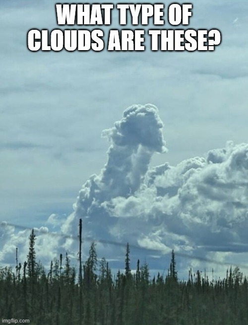 What Type of Clouds are These. | WHAT TYPE OF CLOUDS ARE THESE? | image tagged in what type of clouds are these | made w/ Imgflip meme maker
