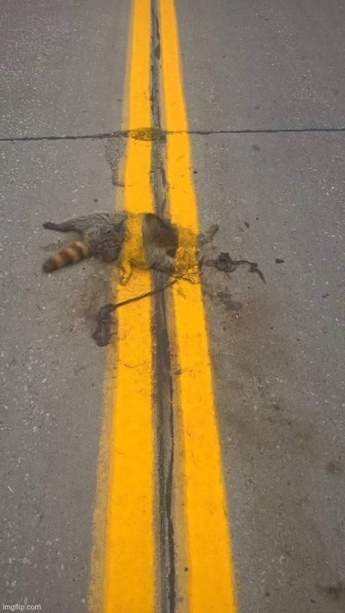 Roadkill line paint | image tagged in roadkill line paint | made w/ Imgflip meme maker