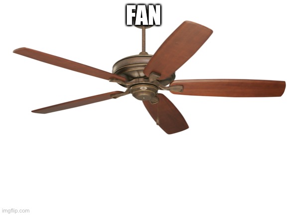 The first meme on the stream | FAN | image tagged in ceiling fan | made w/ Imgflip meme maker