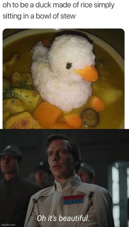 image tagged in oh it's beautiful,duck,rice,soup | made w/ Imgflip meme maker