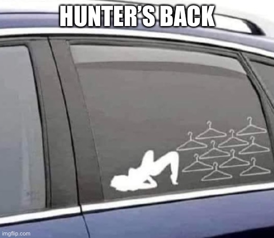 Hunter’s back | HUNTER’S BACK | image tagged in roe v wade explained | made w/ Imgflip meme maker