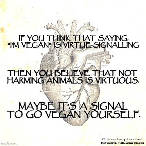 Virtue-Signalling | IF  YOU  THINK  THAT  SAYING,  “I’M  VEGAN”  IS  VIRTUE-SIGNALLING; THEN  YOU  BELIEVE  THAT  NOT 
HARMING  ANIMALS  IS  VIRTUOUS. MAYBE  IT’S  A  SIGNAL  TO  GO  VEGAN  YOURSELF. Old anatomy drawing of human heart:
artist unknown: VeganMemesForSharing | image tagged in vegan,bacon,hamburger,milk,steak,chicken | made w/ Imgflip meme maker