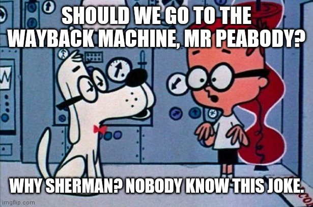 Mr. Peabody and Sherman | SHOULD WE GO TO THE WAYBACK MACHINE, MR PEABODY? WHY SHERMAN? NOBODY KNOW THIS JOKE. | image tagged in mr peabody and sherman | made w/ Imgflip meme maker