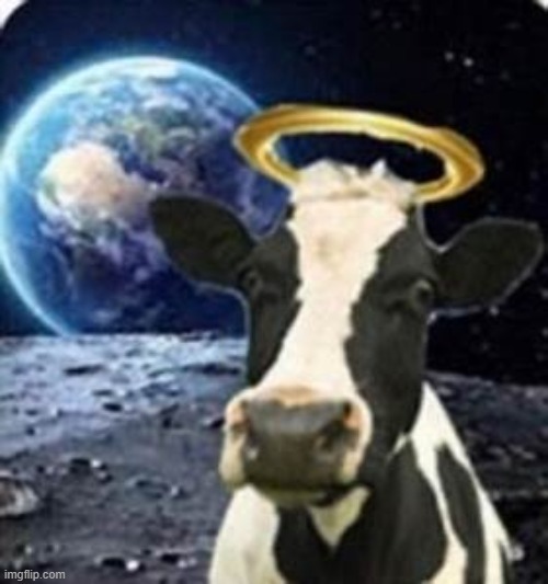 holy cow that's out of this world | image tagged in holy cow that's out of this world | made w/ Imgflip meme maker