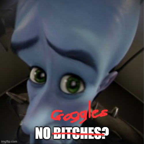 i sent this to my friend on discord | NO BITCHES? | image tagged in megamind peeking | made w/ Imgflip meme maker