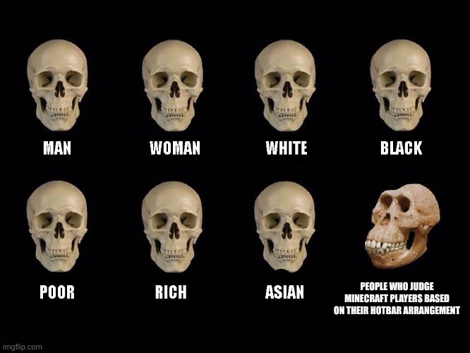 empty skulls of truth | PEOPLE WHO JUDGE MINECRAFT PLAYERS BASED ON THEIR HOTBAR ARRANGEMENT | image tagged in empty skulls of truth | made w/ Imgflip meme maker