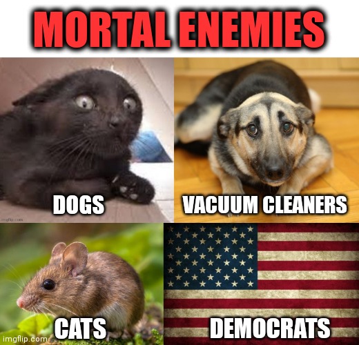 MORTAL ENEMIES; VACUUM CLEANERS; DOGS; DEMOCRATS; CATS | image tagged in hd us flag,memes,dogs,mortal enemies,cats,democrats | made w/ Imgflip meme maker