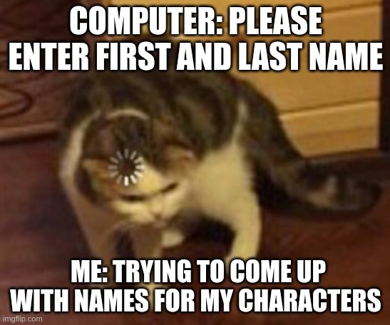 Loading cat | COMPUTER: PLEASE ENTER FIRST AND LAST NAME; ME: TRYING TO COME UP WITH NAMES FOR MY CHARACTERS | image tagged in loading cat | made w/ Imgflip meme maker