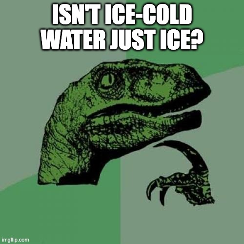 things freeze, you know |  ISN'T ICE-COLD WATER JUST ICE? | image tagged in memes,philosoraptor,funny,water,ice,logic | made w/ Imgflip meme maker