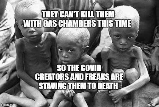 starving africans | THEY CAN'T KILL THEM WITH GAS CHAMBERS THIS TIME; SO THE COVID CREATORS AND FREAKS ARE STAVING THEM TO DEATH | image tagged in starving africans | made w/ Imgflip meme maker