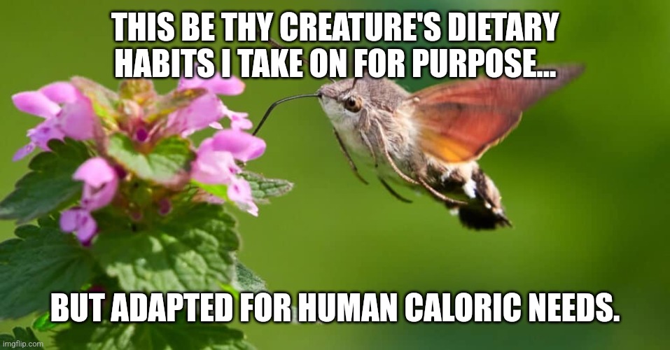 Moth Clan Diet | THIS BE THY CREATURE'S DIETARY HABITS I TAKE ON FOR PURPOSE... BUT ADAPTED FOR HUMAN CALORIC NEEDS. | image tagged in spiritual,original meme | made w/ Imgflip meme maker