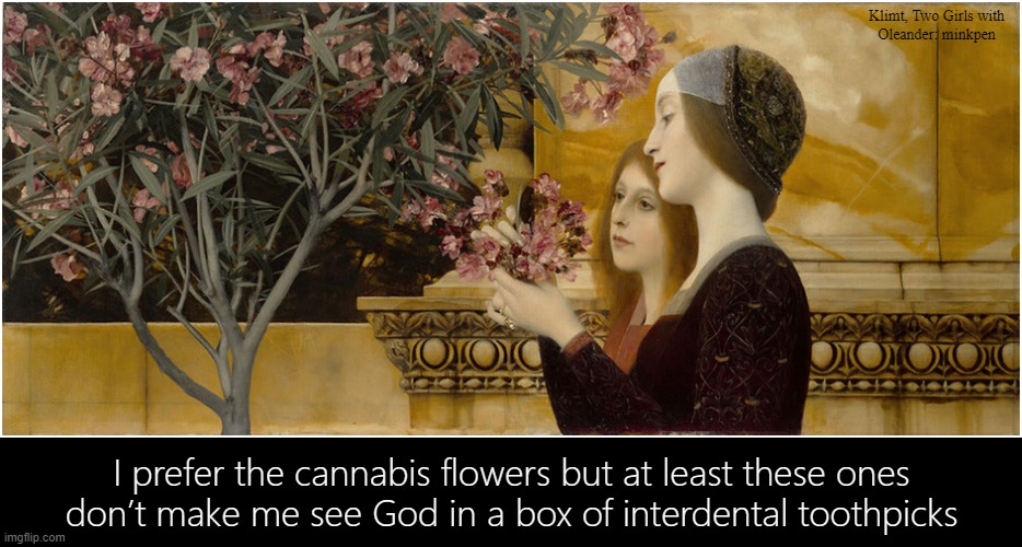 Cannabis | Klimt, Two Girls with
Oleander: minkpen; I prefer the cannabis flowers but at least these ones
don’t make me see God in a box of interdental toothpicks | image tagged in art memes,klimt,flowers,gardening,pot,weed | made w/ Imgflip meme maker