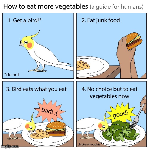 Bird as a tool | image tagged in vegetables,junk food,bird,comics,comics/cartoons,comic | made w/ Imgflip meme maker