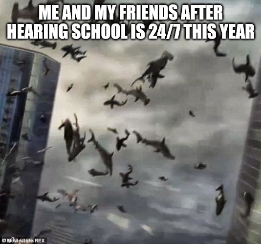 Sharknado | ME AND MY FRIENDS AFTER HEARING SCHOOL IS 24/7 THIS YEAR | image tagged in sharknado | made w/ Imgflip meme maker