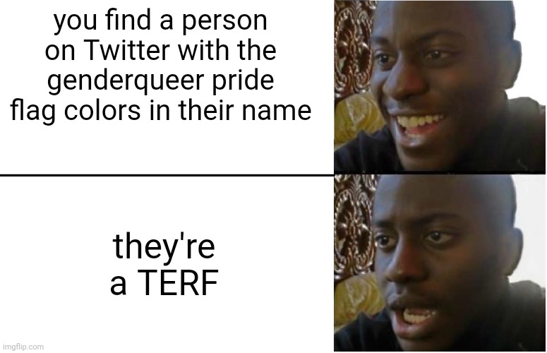 There's a "TERF pride flag" that looks EXTREMELY similar to the genderqueer pride flag. | you find a person on Twitter with the genderqueer pride flag colors in their name; they're a TERF | image tagged in disappointed black guy | made w/ Imgflip meme maker