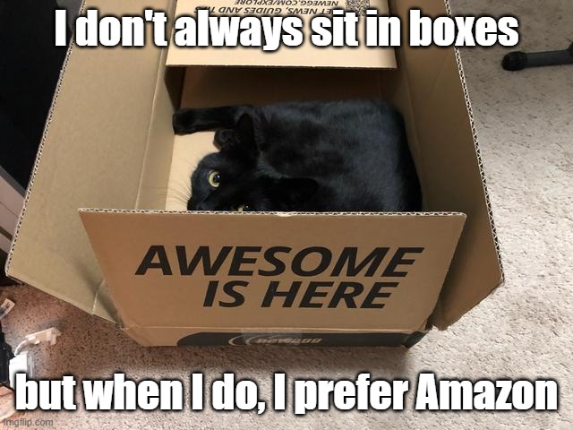 I don't always sit in boxes but when I do, I prefer Amazon | made w/ Imgflip meme maker