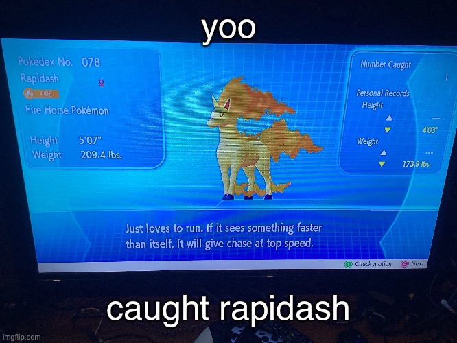 yoo; caught rapidash | made w/ Imgflip meme maker