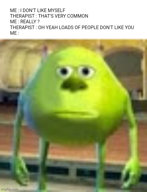 Sully Wazowski |  ME : I DON'T LIKE MYSELF

THERAPIST : THAT'S VERY COMMON

ME : REALLY ?

THERAPIST : OH YEAH LOADS OF PEOPLE DON'T LIKE YOU

ME : | image tagged in sully wazowski,disappointment,therapist | made w/ Imgflip meme maker