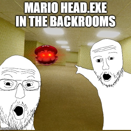 Mario.exe is in the backrooms | MARIO HEAD.EXE IN THE BACKROOMS | image tagged in the backrooms,mario,memes | made w/ Imgflip meme maker