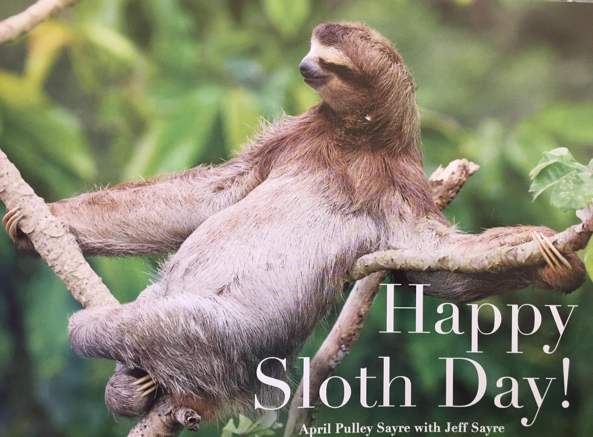 Happy Sloth Day Blank Meme Template
