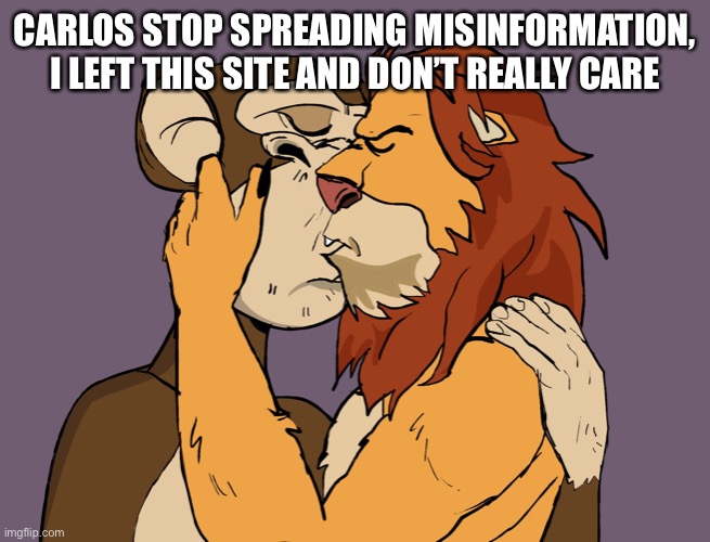 NFTs kissing | CARLOS STOP SPREADING MISINFORMATION, I LEFT THIS SITE AND DON’T REALLY CARE | image tagged in nfts kissing | made w/ Imgflip meme maker