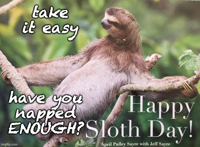 This Sloth Day, ask yourself |  take it easy; have you
napped
ENOUGH? | image tagged in happy sloth day,sloth,holiday | made w/ Imgflip meme maker