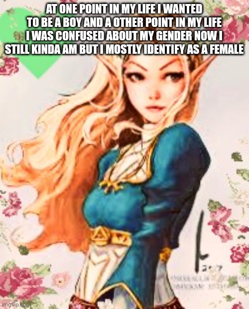 new | AT ONE POINT IN MY LIFE I WANTED TO BE A BOY AND A OTHER POINT IN MY LIFE I WAS CONFUSED ABOUT MY GENDER NOW I STILL KINDA AM BUT I MOSTLY IDENTIFY AS A FEMALE | image tagged in new | made w/ Imgflip meme maker