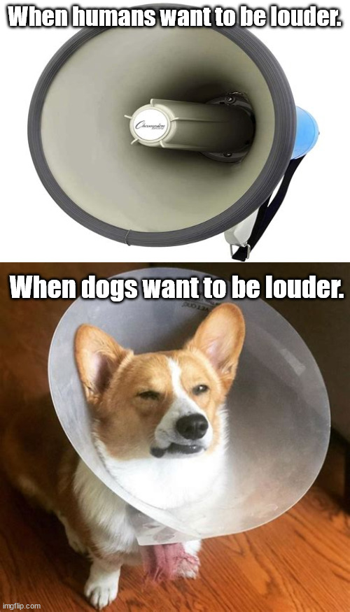When humans want to be louder. When dogs want to be louder. | image tagged in blank white template | made w/ Imgflip meme maker