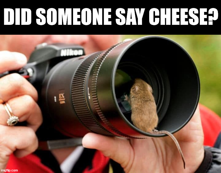 DID SOMEONE SAY CHEESE? | image tagged in eye roll | made w/ Imgflip meme maker