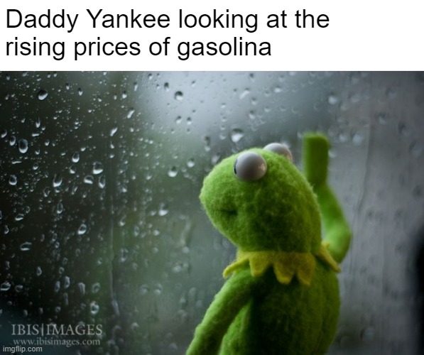 * sad EV noises | Daddy Yankee looking at the 
rising prices of gasolina | image tagged in kermit window | made w/ Imgflip meme maker