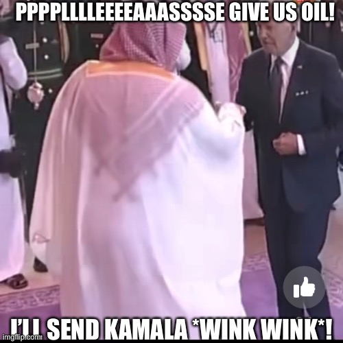 PPPPLLLLEEEEAAASSSSE GIVE US OIL! I’LL SEND KAMALA *WINK WINK*! | made w/ Imgflip meme maker