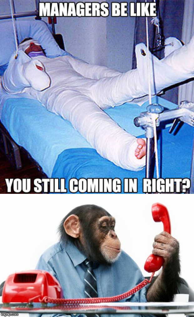 image tagged in phonemonkey | made w/ Imgflip meme maker