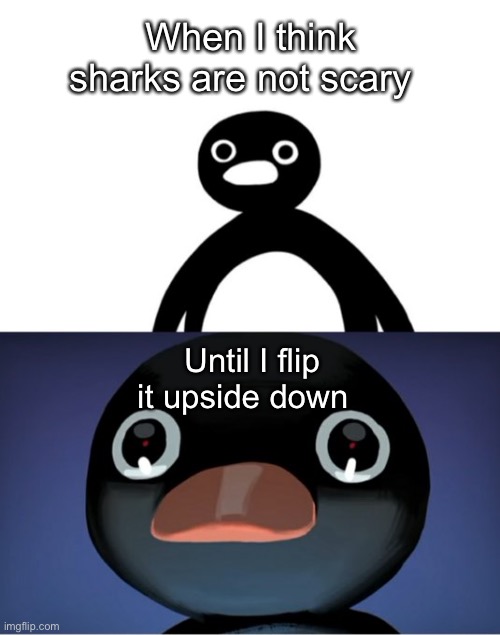 When sharks are scary | When I think sharks are not scary; Until I flip it upside down | image tagged in telepurte noot noot | made w/ Imgflip meme maker