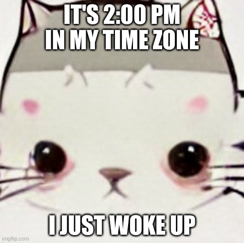 hoes zad | IT'S 2:00 PM IN MY TIME ZONE; I JUST WOKE UP | image tagged in hoes zad | made w/ Imgflip meme maker