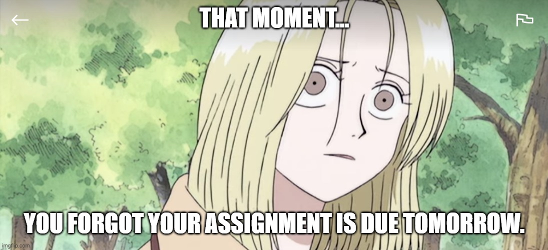 Kaya from One Piece meme | THAT MOMENT... YOU FORGOT YOUR ASSIGNMENT IS DUE TOMORROW. | image tagged in kaya from one piece anime | made w/ Imgflip meme maker