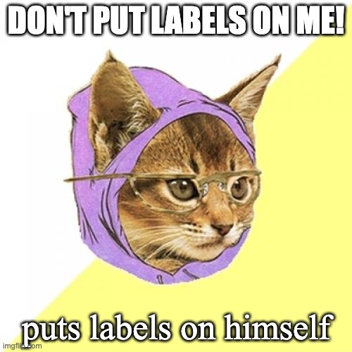 Hipster Kitty | DON'T PUT LABELS ON ME! puts labels on himself | image tagged in memes,hipster kitty | made w/ Imgflip meme maker