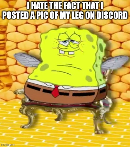 Emperor Spongefly | I HATE THE FACT THAT I POSTED A PIC OF MY LEG ON DISCORD | image tagged in emperor spongefly | made w/ Imgflip meme maker