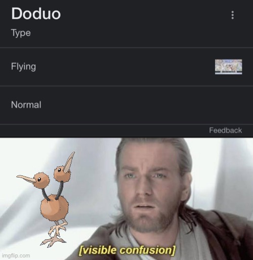 Normal, Understandable, Have A Great Day, But FLYING?! I Know It’s A Bird And All…BUT FLYING?! | image tagged in visible confusion | made w/ Imgflip meme maker