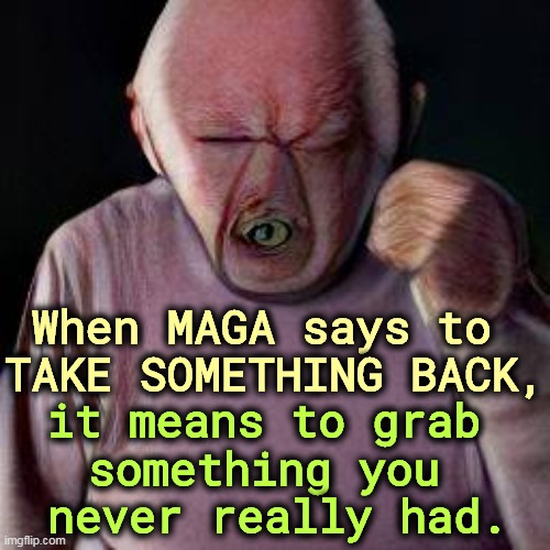 When MAGA says to 
TAKE SOMETHING BACK, it means to grab 
something you 
never really had. | image tagged in maga,country,grab,steal | made w/ Imgflip meme maker