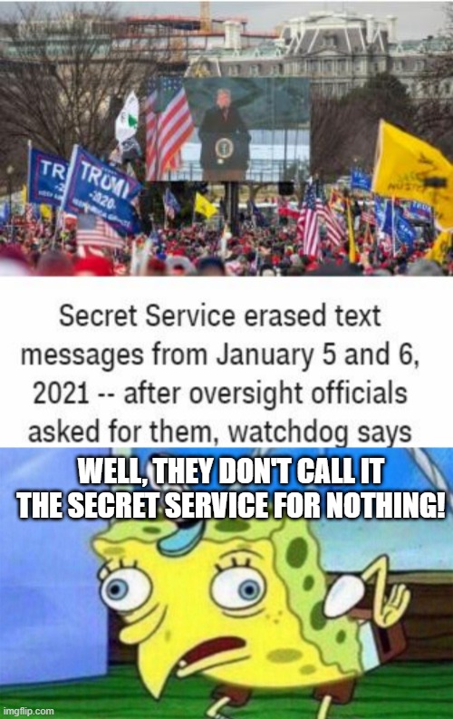 Isn't That the Job? | WELL, THEY DON'T CALL IT THE SECRET SERVICE FOR NOTHING! | image tagged in spongebob stupid | made w/ Imgflip meme maker