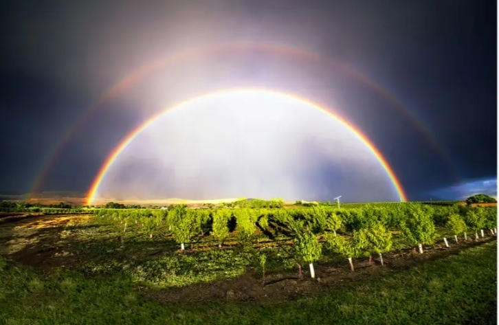 Double Rainbow Blank Meme Template